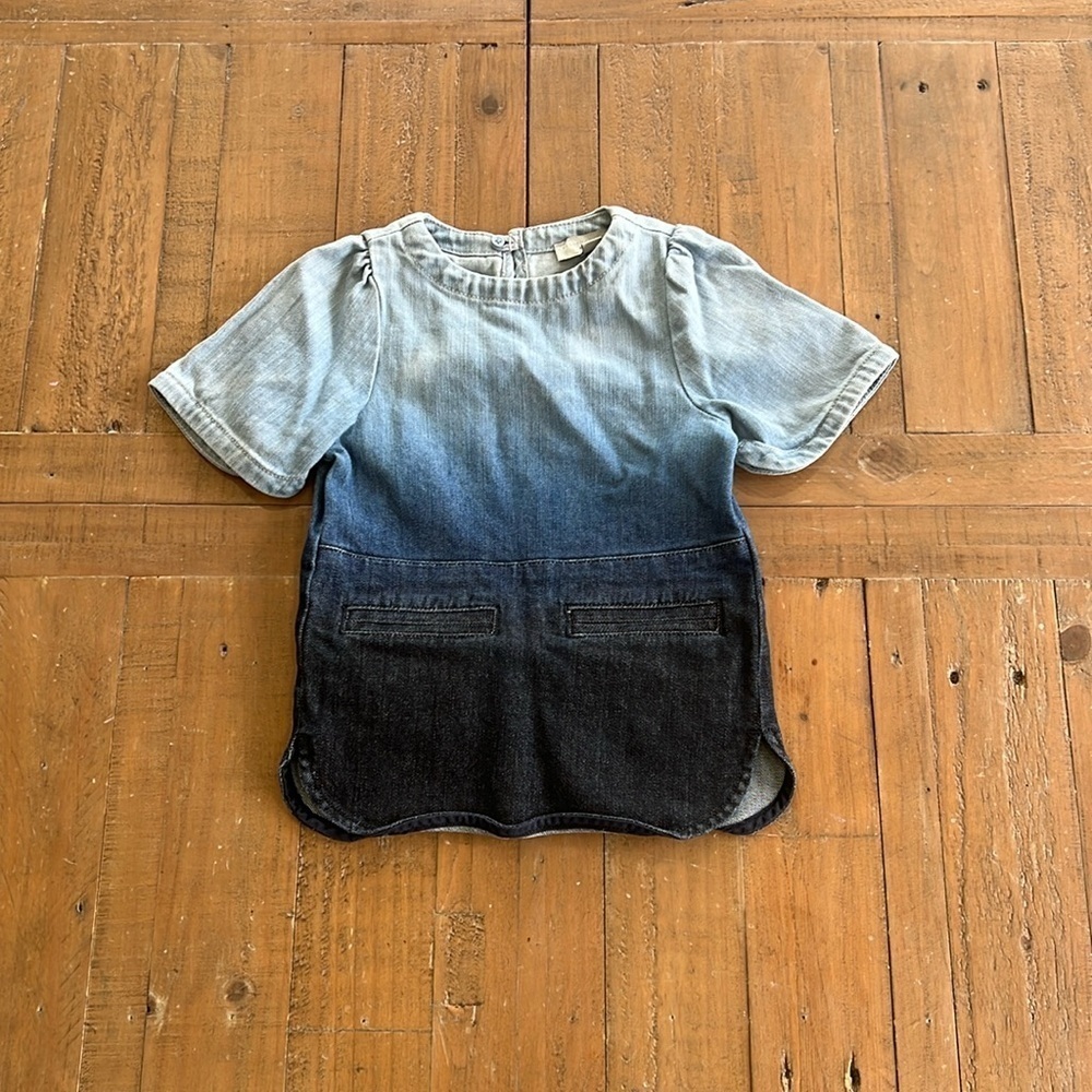 Stella McCartney ombré denim dress